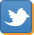 Share on Twitter