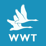 Logo for Wildfowl and Wetland Trust