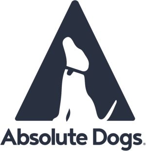 absoluteDogs Limited