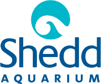 Shedd Aquarium