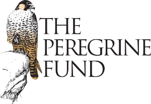 The Peregrine Fund